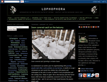 Tablet Screenshot of lophophora.blogspot.com