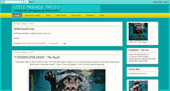 Desktop Screenshot of littlefriendsphoto.blogspot.com