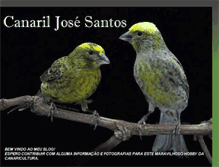 Tablet Screenshot of canariljosesantos.blogspot.com