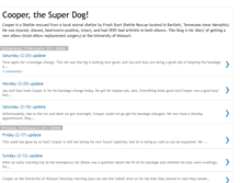 Tablet Screenshot of cooperthesuperdog.blogspot.com