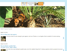 Tablet Screenshot of bradstropicalparadise.blogspot.com