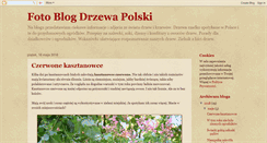 Desktop Screenshot of drzewapolski.blogspot.com