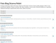 Tablet Screenshot of drzewapolski.blogspot.com