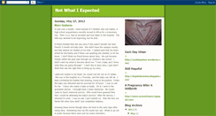 Desktop Screenshot of notwhatiexpected-kristi.blogspot.com