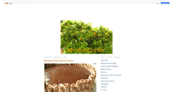 Desktop Screenshot of ebrulilezzetler.blogspot.com