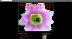 Desktop Screenshot of cynthiagullocactus.blogspot.com