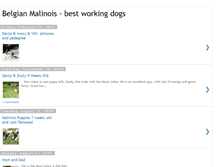 Tablet Screenshot of malinoisbestworkingdogs.blogspot.com