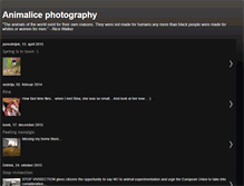 Tablet Screenshot of animalice.blogspot.com