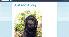 Desktop Screenshot of justaboutjoey.blogspot.com