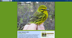 Desktop Screenshot of capecodbander.blogspot.com