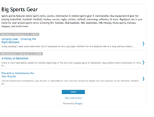 Tablet Screenshot of bigsportsgear.blogspot.com