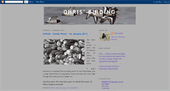 Desktop Screenshot of chrisbirding.blogspot.com
