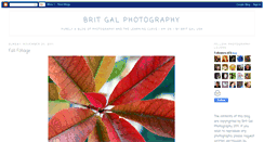 Desktop Screenshot of britgalusaphotos.blogspot.com