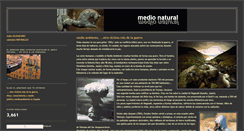 Desktop Screenshot of medionatural2.blogspot.com