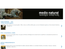 Tablet Screenshot of medionatural2.blogspot.com