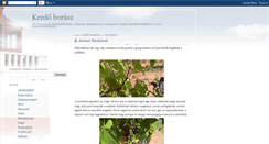 Desktop Screenshot of kezdoborasz.blogspot.com