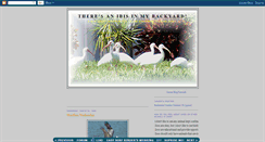 Desktop Screenshot of floridabirder.blogspot.com
