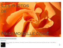 Tablet Screenshot of lesphotosdemllecigue.blogspot.com