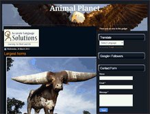 Tablet Screenshot of animalplanet30.blogspot.com