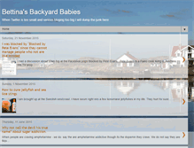 Tablet Screenshot of bettinasbackyard.blogspot.com