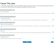 Tablet Screenshot of carpetthelake.blogspot.com