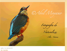 Tablet Screenshot of abelmoyano.blogspot.com