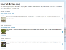 Tablet Screenshot of limerick-birderblog.blogspot.com