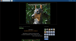 Desktop Screenshot of dobermannchile.blogspot.com