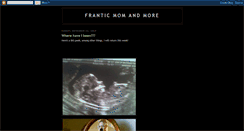 Desktop Screenshot of franticmomandmore.blogspot.com