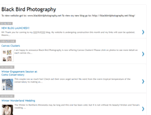 Tablet Screenshot of kristi-blackbirdphotography.blogspot.com