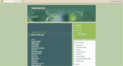 Desktop Screenshot of haberlericin.blogspot.com