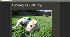 Desktop Screenshot of growingaguidedog.blogspot.com