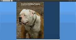 Desktop Screenshot of americanbulldogpuppies.blogspot.com