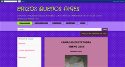 Desktop Screenshot of erizosbuenosaires.blogspot.com