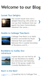 Mobile Screenshot of bundeenakayaks.blogspot.com