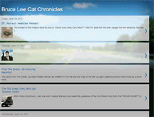 Tablet Screenshot of bruceleecatchronicles.blogspot.com