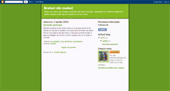 Desktop Screenshot of bratari-noduri.blogspot.com