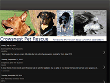 Tablet Screenshot of cpetrescue.blogspot.com