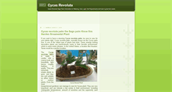 Desktop Screenshot of cycasrevolutapalm.blogspot.com