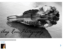 Tablet Screenshot of amyrosephotography.blogspot.com