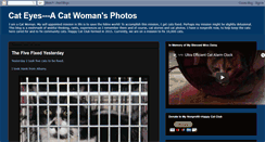 Desktop Screenshot of catwomanflix.blogspot.com