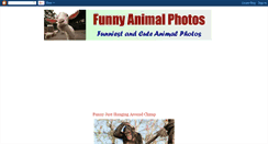 Desktop Screenshot of funnyanimalphoto.blogspot.com