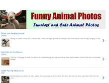 Tablet Screenshot of funnyanimalphoto.blogspot.com