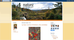 Desktop Screenshot of naturenortheast.blogspot.com