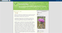 Desktop Screenshot of destinationbaby.blogspot.com