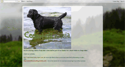 Desktop Screenshot of cedarhillkasia.blogspot.com