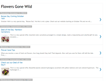 Tablet Screenshot of flowersgonewildtampa.blogspot.com