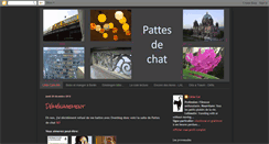 Desktop Screenshot of pattesdechat.blogspot.com