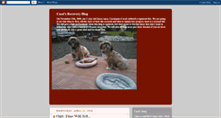 Desktop Screenshot of cassisurgery.blogspot.com