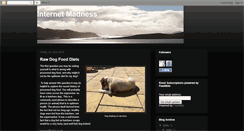 Desktop Screenshot of internetmadness.blogspot.com